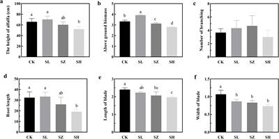 Effects of salt stress on plant and rhizosphere bacterial communities, interaction patterns, and functions